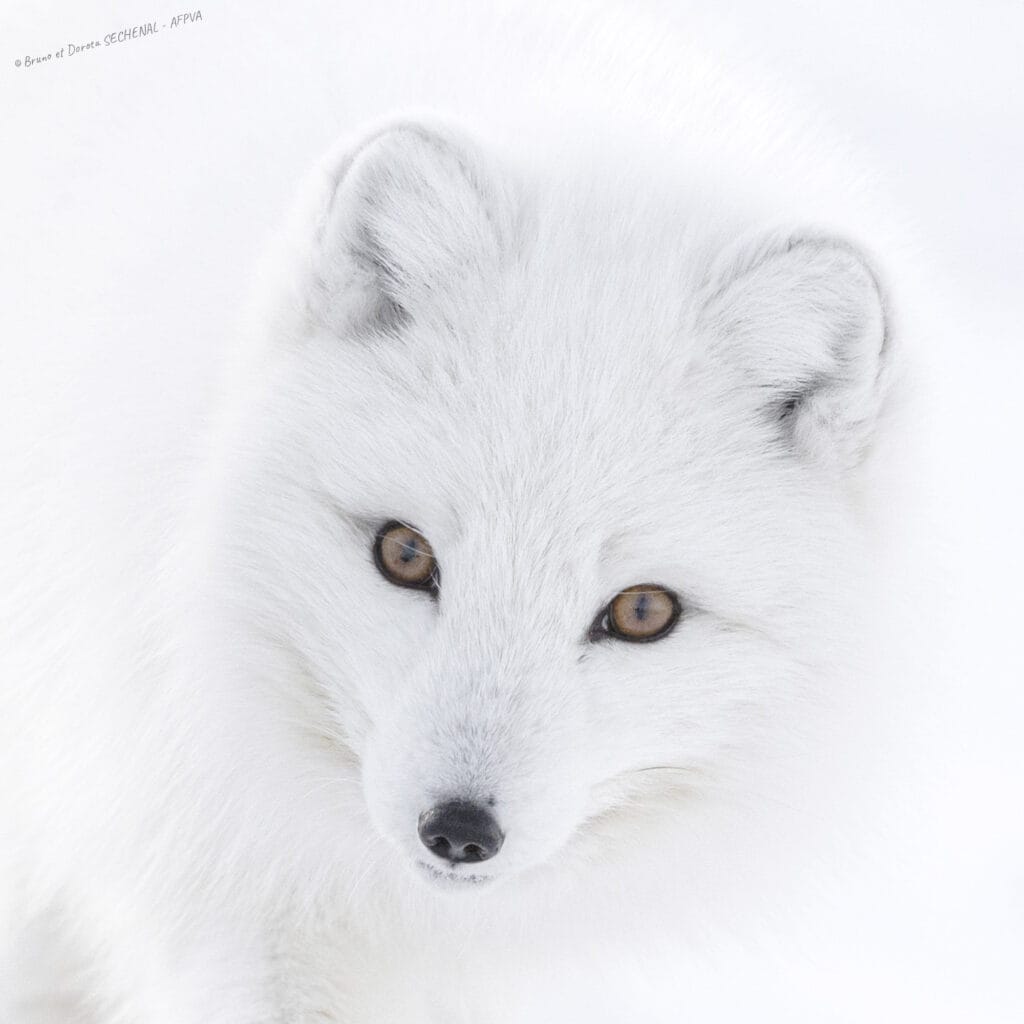 1. Dorota et Bruno Sénéchal_resultat