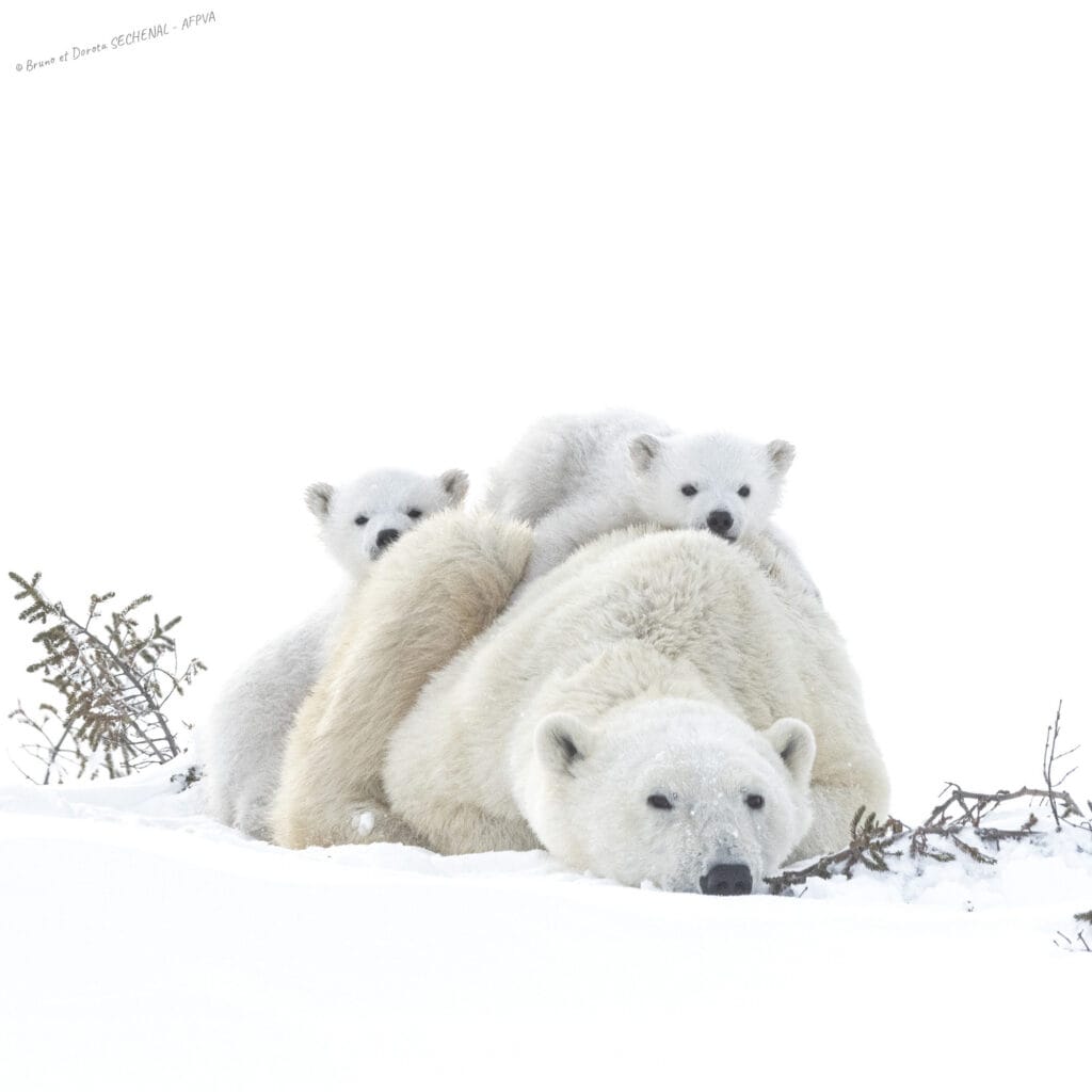 2. Dorota et Bruno Sénéchal_resultat