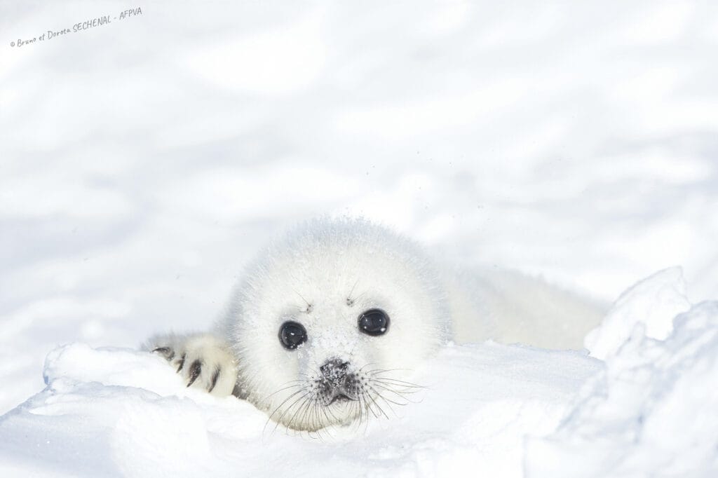 3. Dorota et Bruno Sénéchal_resultat