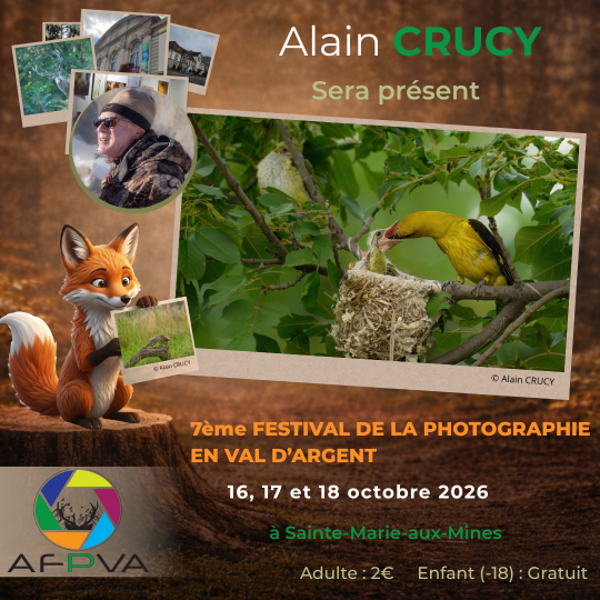 Pub - Alain CRUCY