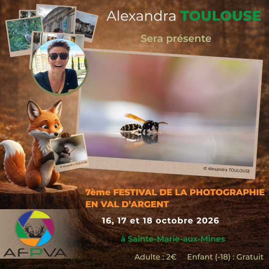 Pub - Alexandra TOULOUSE