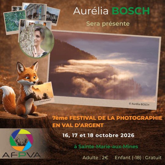 Pub - Aurélia BOSCH