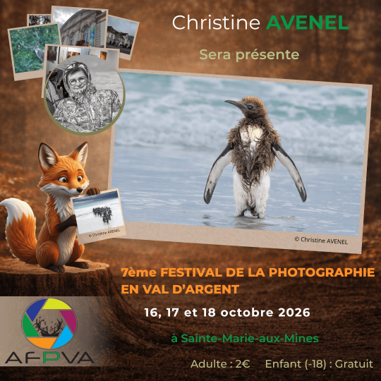 Pub - Christine AVENEL