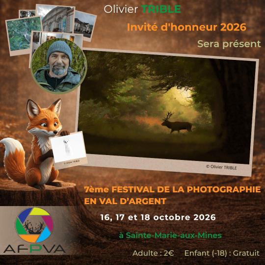Pub - Olivier TRIBLE